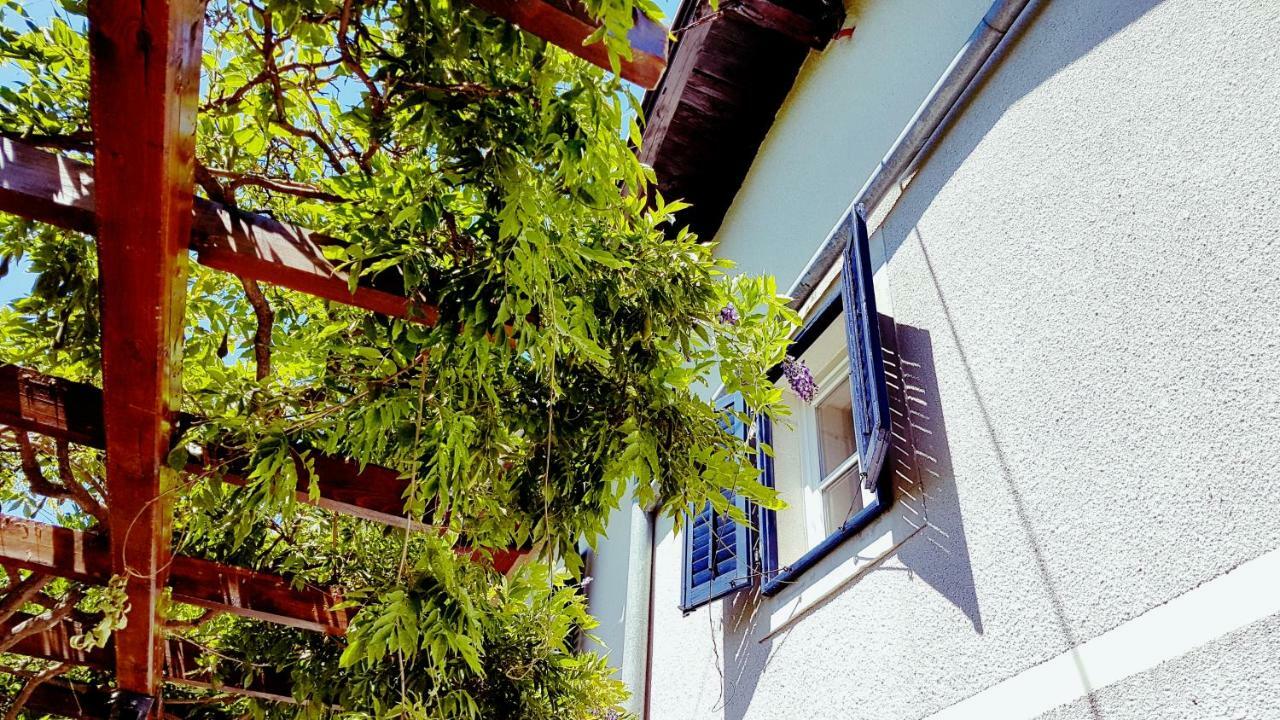 Apartments Panoramic لوفغان المظهر الخارجي الصورة
